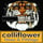 Colliflower Inc Logo
